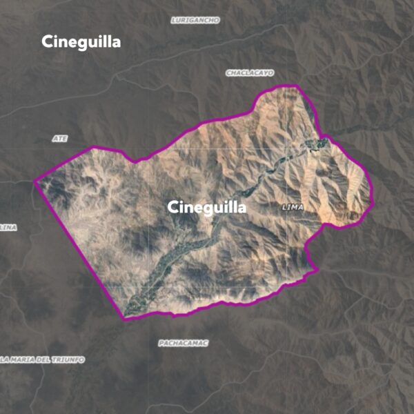 Envío a Domicilio – Cieneguilla (Lima)
