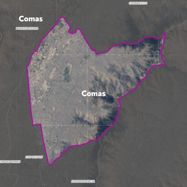 Envío a Domicilio – Comas (Lima)