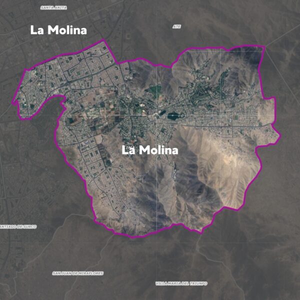 Envío a Domicilio – La Molina (Lima)