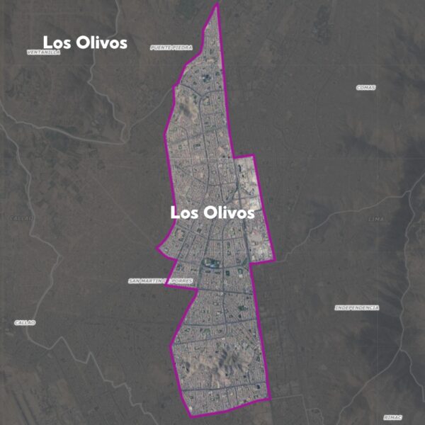 Envío a Domicilio – Los Olivos (Lima)