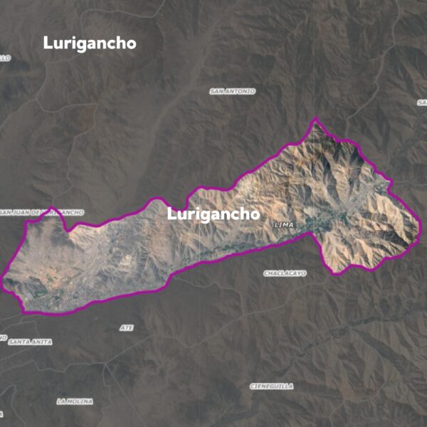 Envío a Domicilio – Lurigancho (Lima)